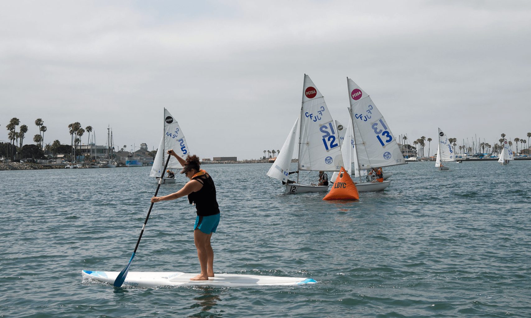 Stand Up Paddleboard