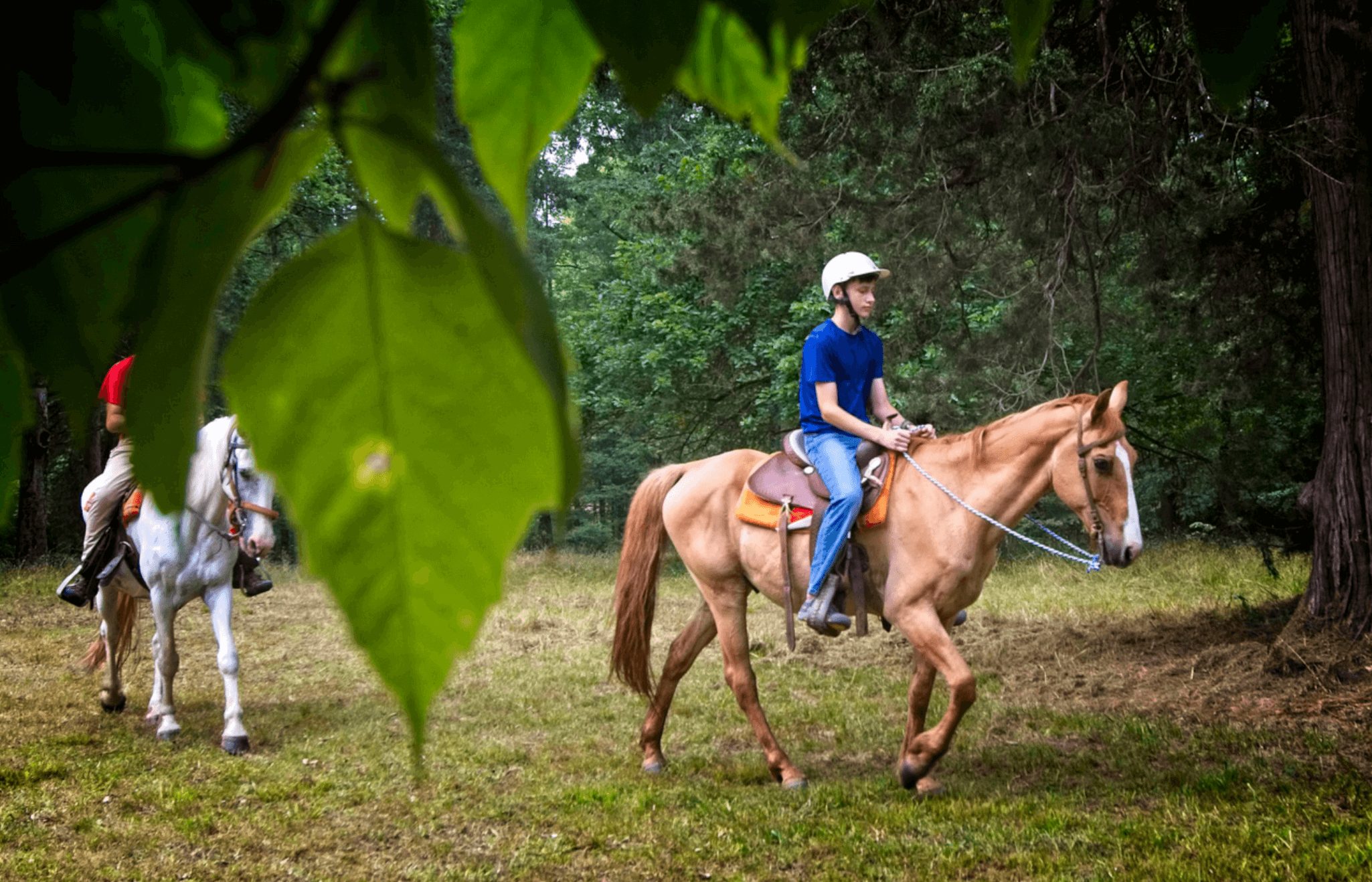 Horseback